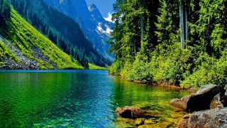Mountain lake forest rocks scenery 3 - a green forest free wallpaper