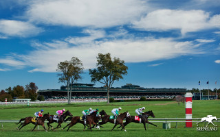 Horses racing track sky stadium - impressionist free wallpaper