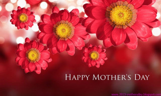 Red flower yellow center mothersday - a red flower free wallpaper