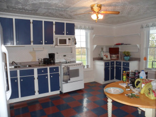 Blue cabinets kitchen table plate - betye saar free wallpaper
