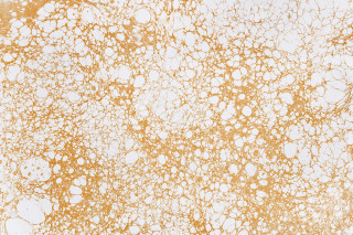 White gold bubbles black white - arnold mesches free wallpaper