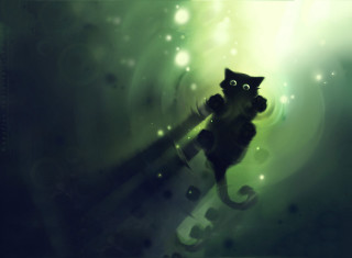 Black cat green background bubbles - a black cat free wallpaper