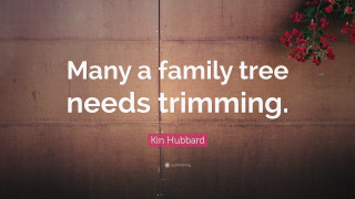 Quote on wall with flowers - alison kinnaird free wallpaper
