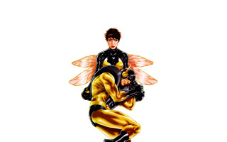 Bee costume man helmet gloves - a helmet and gloves free wallpaper