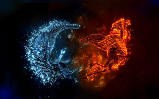 Fire ice horse bird firewater - epic fantasy free wallpaper