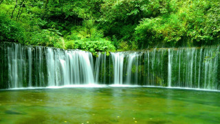 Waterfall green forest fish swimming - the water below free wallpaper