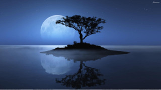 Tree island ocean night full 5 - a small island in the middle of the ocean free wallpaper