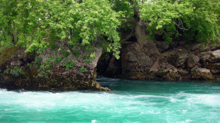 River rock formation trees growing - free nature wallpaper