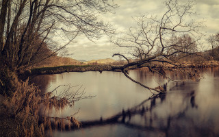 Tree water mountain cloudy sky - a cloudy sky above free wallpaper