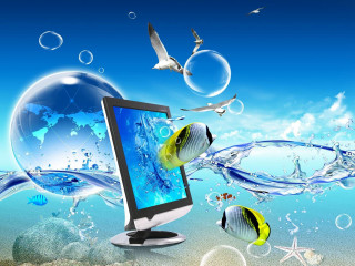 Computer monitor water worldmap seagulls - the water free wallpaper