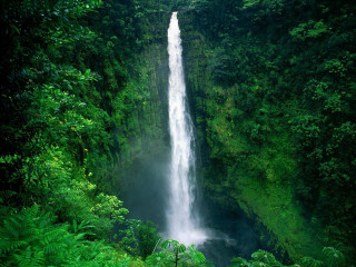 Waterfall forest greenery tiltshift nature - anthony s waters free wallpaper