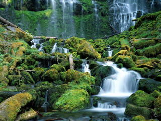 Waterfall moss rocks fallen tree 2 - the rock and water free wallpaper