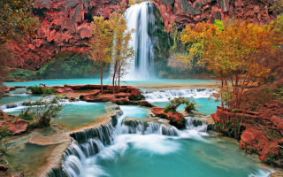 Waterfall background trees foreground nature 5 - a waterfall in the background and trees free wallpaper