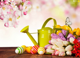 Watering can flowers easter eggs - still free wallpaper