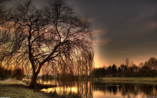 Tree grass water sunset dawn 2 - anton graff free wallpaper