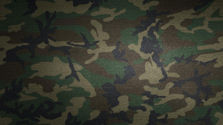 Camouflage print black white stripe - the bottom of the image free wallpaper