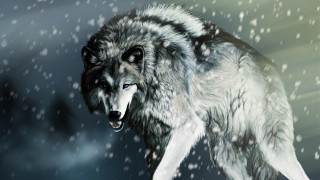 Wolf walking through snow night - eye open free wallpaper