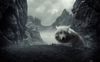 White wolf rocky mountain lake - matte fantasy painting free wallpaper