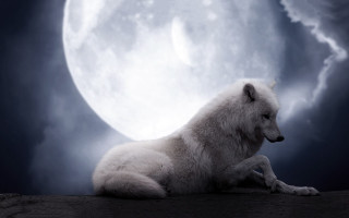 White wolf rock full moon - a dark sky behind free wallpaper