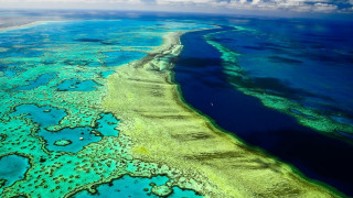 Lake shoreline algae boat sky - green alga free wallpaper