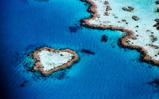 Heart shaped reef blue water - winning free wallpaper for desktop