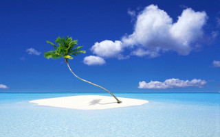 Deserted island palm tree ocean 2 - beach free wallpaper