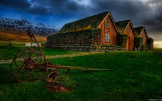 House grass roof wheel field - evaline ness free wallpaper