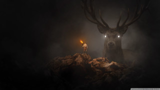 Man rocky hill deer head - filip hodas free wallpaper