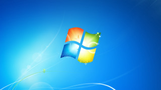 Blue background window green plant 2 - green free wallpaper
