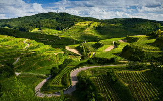 Scenic green valley winding road - road in the middle of it free wallpaper