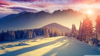 Snowy mountain trees sunset pink 2 - a snowy mountain free wallpaper