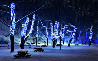 Snowy park bench lights trees - bench free wallpaper