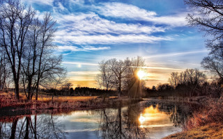 Sunset lake field trees grass - tree and grass free wallpaper