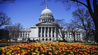 Building dome flower bed sunny - blue sky free wallpaper