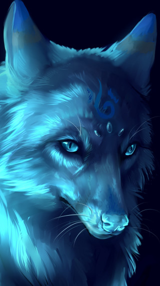 Blue wolf blue background wolf - eye free wallpaper