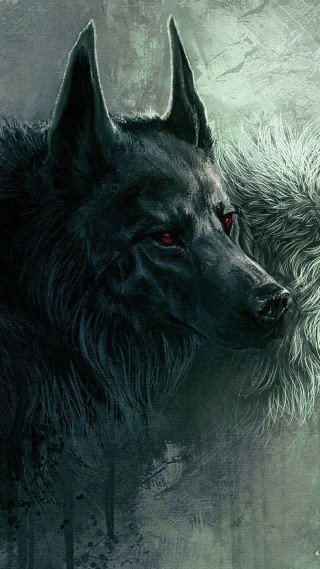 Two dogs facing each other - the other free wallpaper