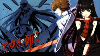 Anime couple rayonism poster sword - text free wallpaper