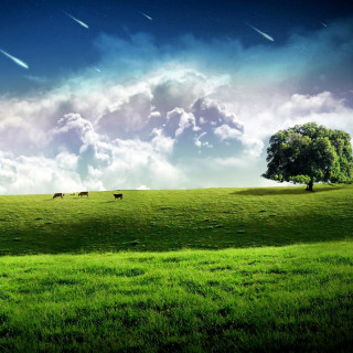 Green field tree cows sky - chris labrooy free wallpaper