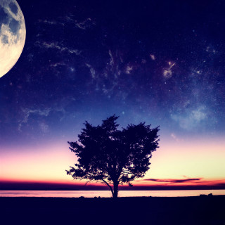 Tree silhouette purple blue sky - against free wallpaper