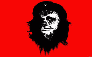 Bearded man with multiple beards - solo free wallpaper