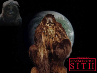 Chewchew planet starwars serial art - character free wallpaper