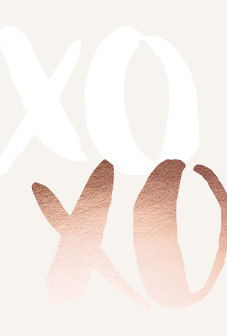 White pink background ox side - typographic free wallpaper