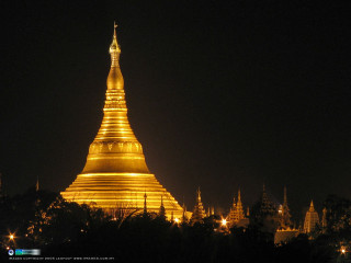 Golden building spire night lights - side and trees free wallpaper