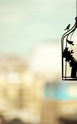 Bird birdcage wire city daytime - free bird wallpaper