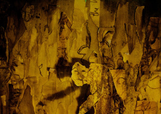Bear graffiti wall person walking - paper texture free wallpaper