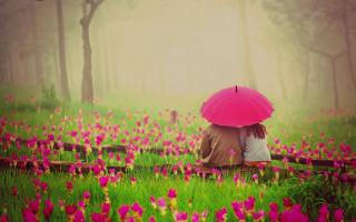 Two people bench field flowers - romantic free wallpaper