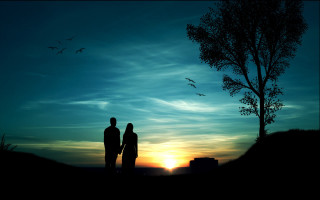 Couple under tree sunset birds - bird free wallpaper