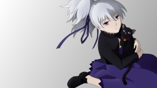 Woman purple dress holding black - white hair free wallpaper