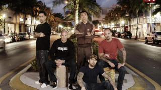 Men bench night street palm - palm tree free wallpaper