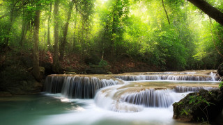 Waterfall forest stream trees nature 2 - a waterfall in a forest free wallpaper